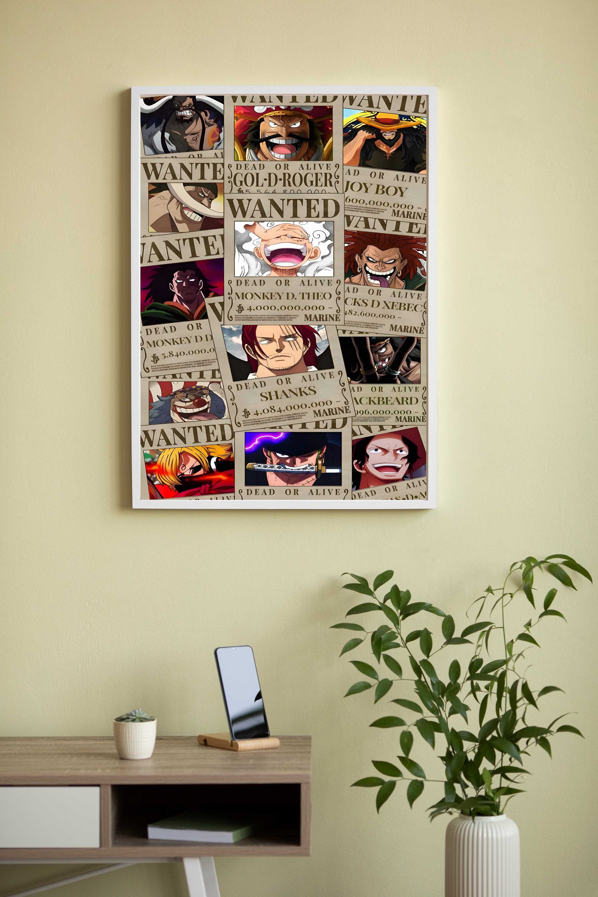 One Piece14