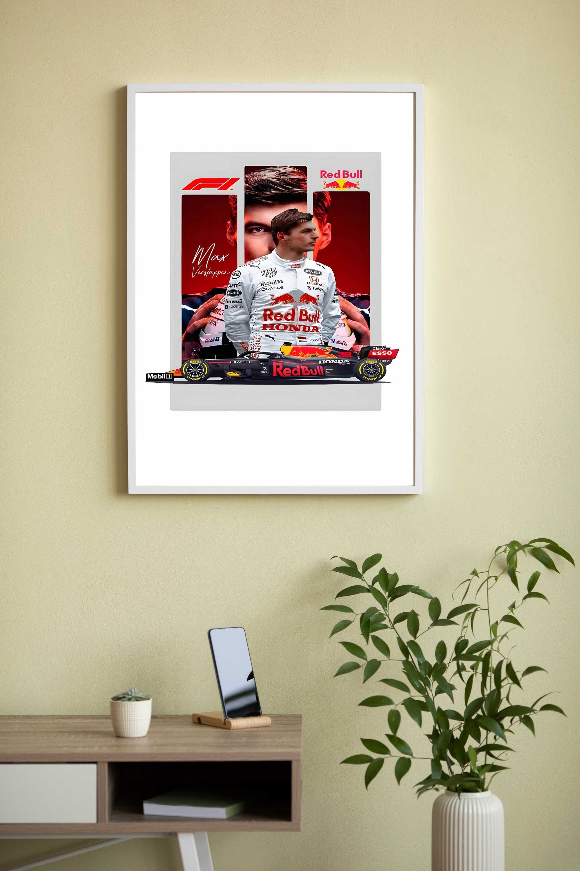 Max Verstappen F1