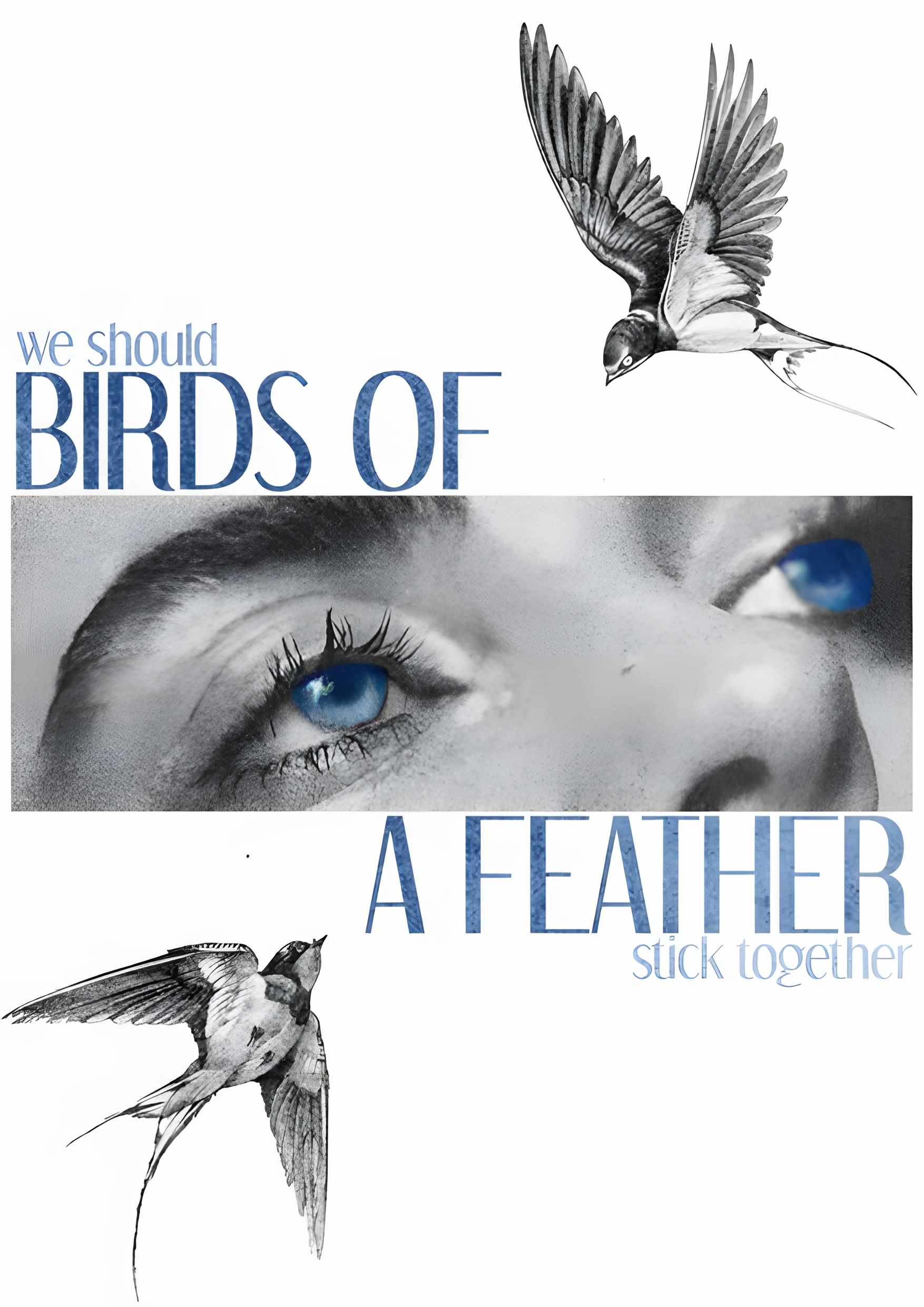 Bird Of Feather