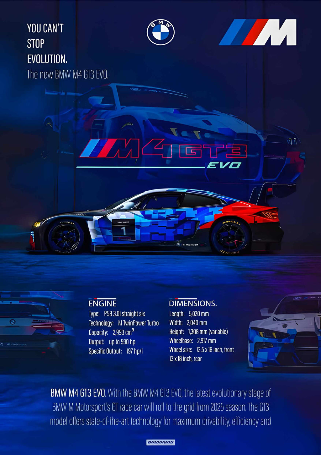 BMW Car