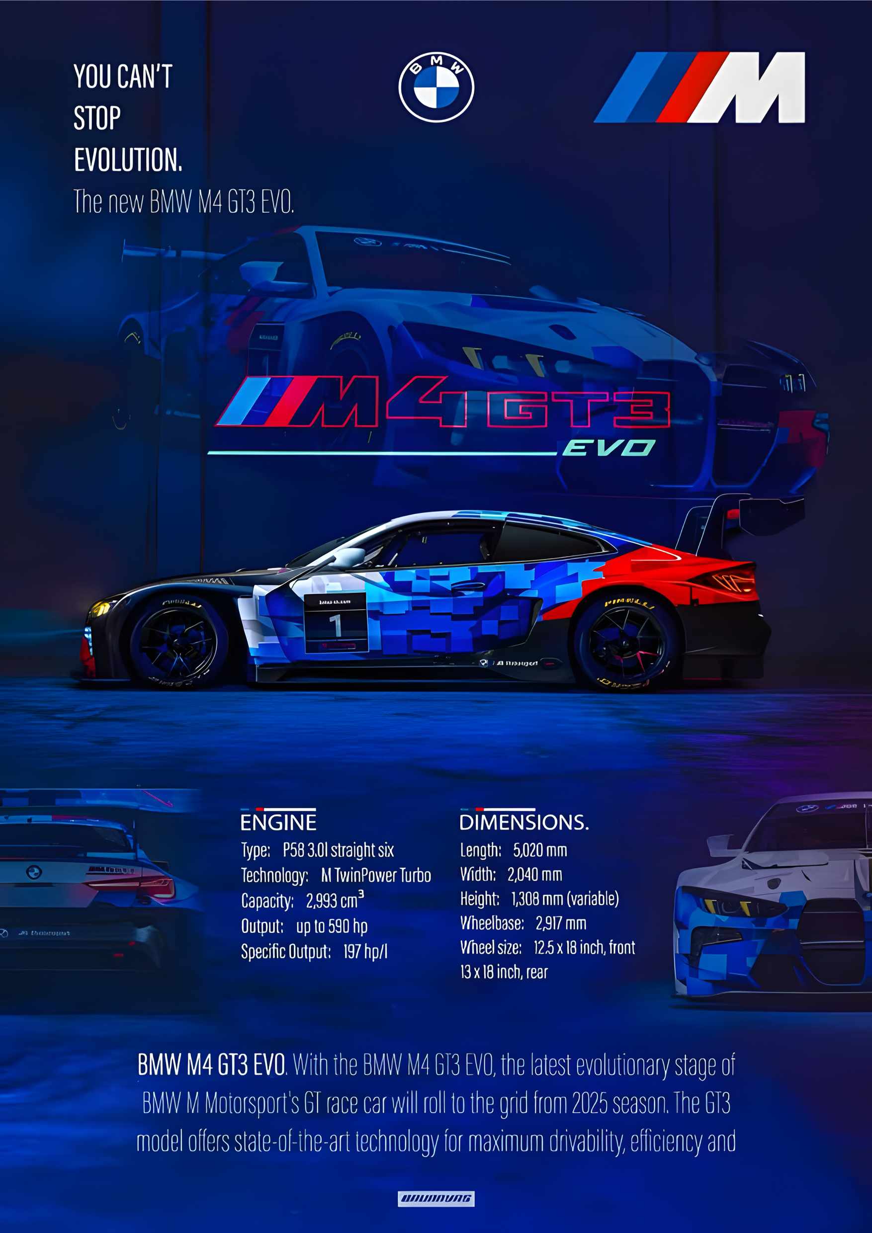 BMW Car