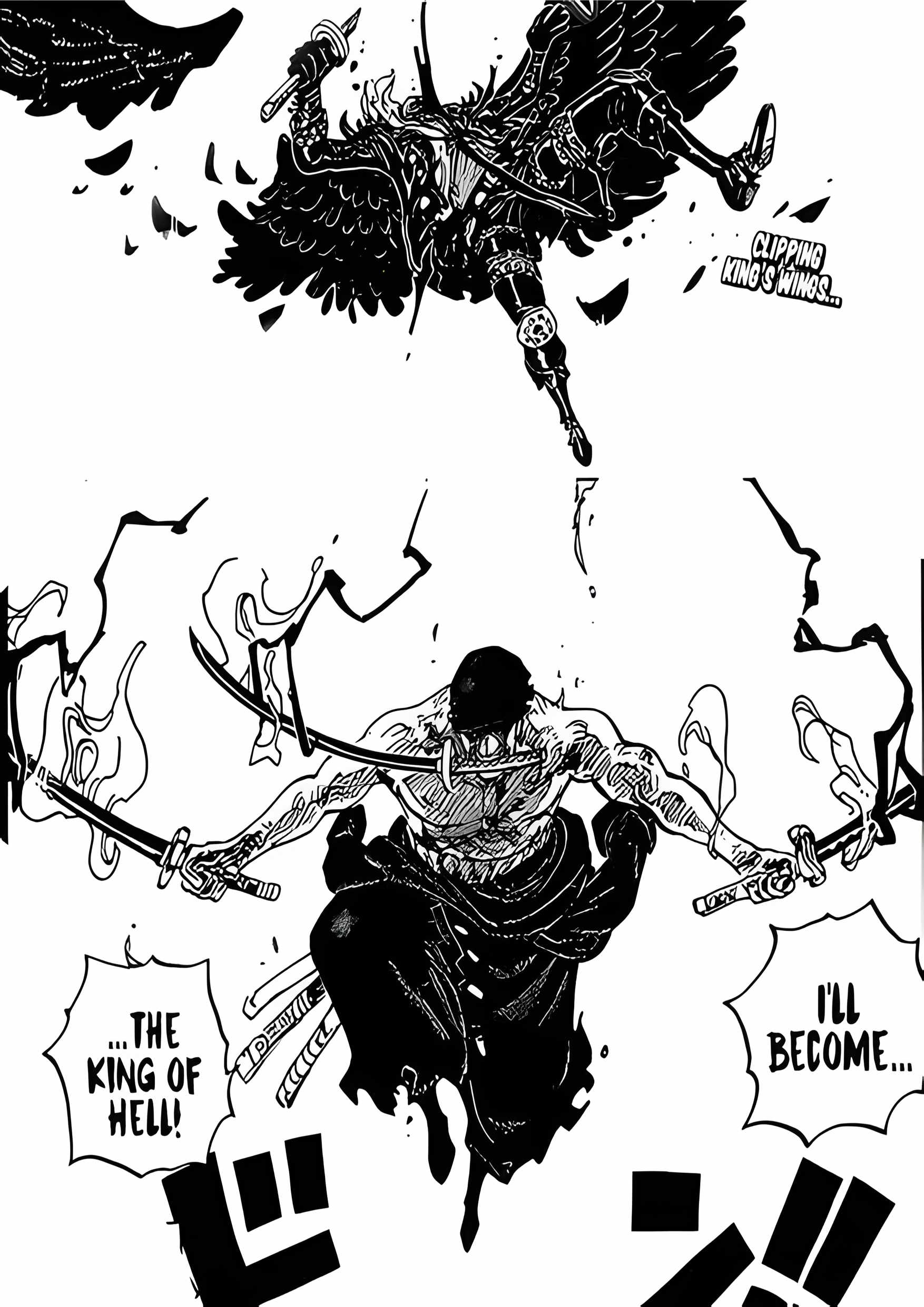 One Piece8