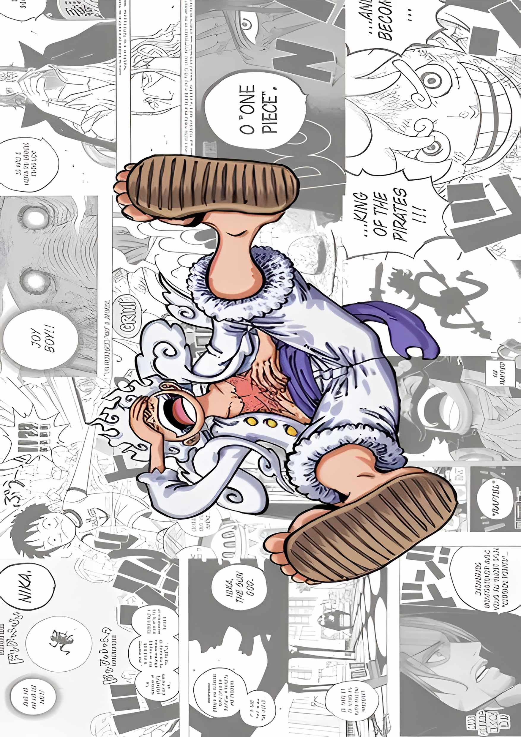 One Piece9