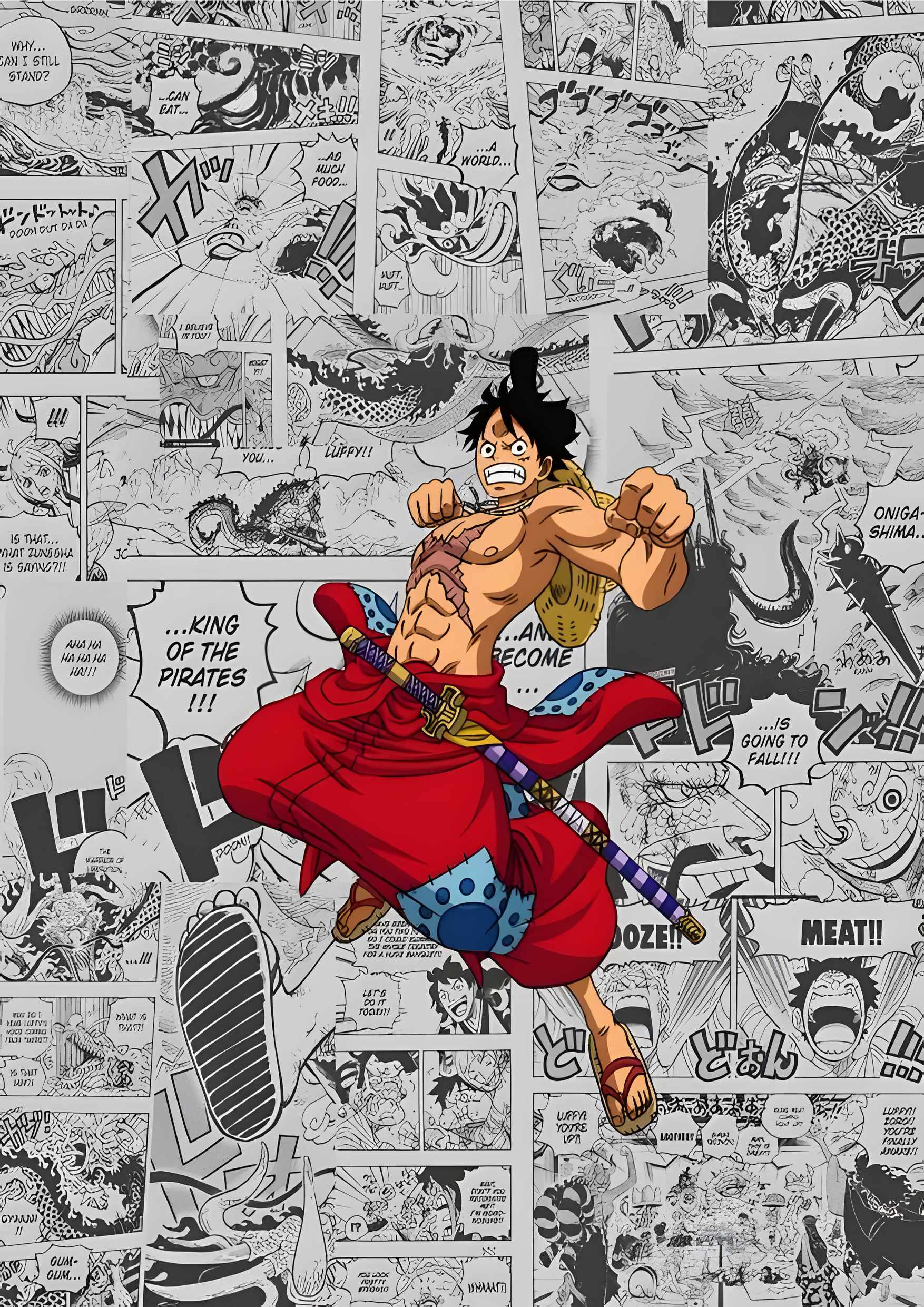 One Piece11