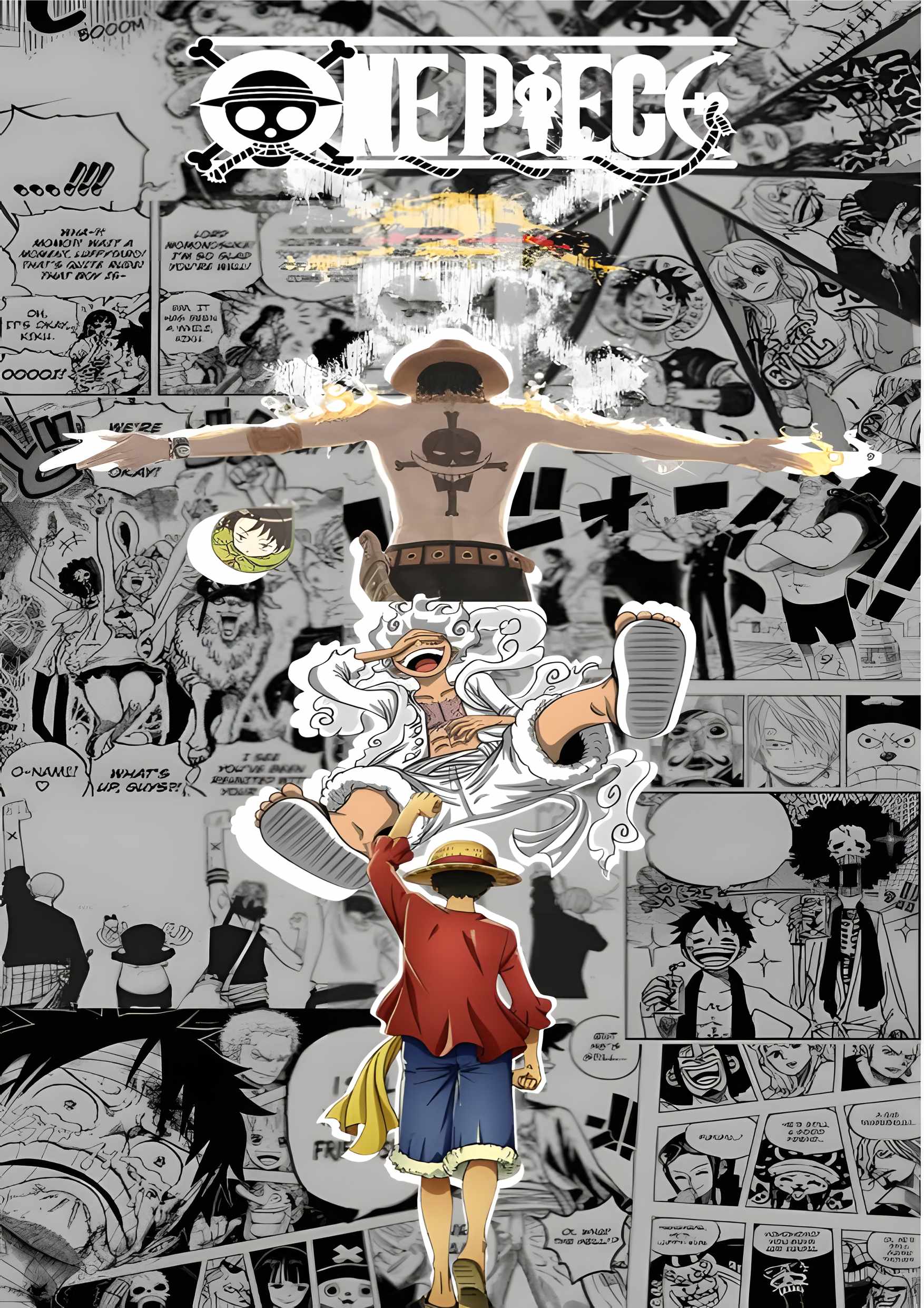 One Piece17